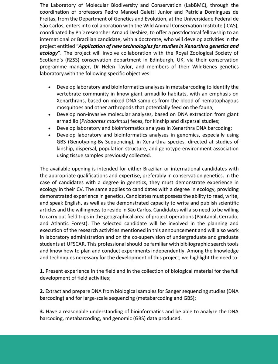 IcasWild's tweet photo. 🚨Opportunity / Oportunidade🚨
📣Postdoctoral Fellowship in Xenarthra Genetics
⚠️Deadline for application: 30th of April 2023 - Expected start date: 1st of June 2023
Quer saber mais? Confira o edital completo!
Check the announcement to learn more about this opportunity 👇 https://t.co/e4HAnwMPBT