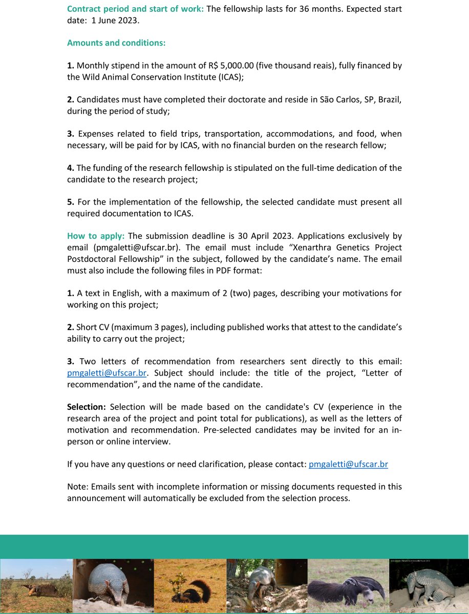IcasWild's tweet photo. 🚨Opportunity / Oportunidade🚨
📣Postdoctoral Fellowship in Xenarthra Genetics
⚠️Deadline for application: 30th of April 2023 - Expected start date: 1st of June 2023
Quer saber mais? Confira o edital completo!
Check the announcement to learn more about this opportunity 👇 https://t.co/e4HAnwMPBT