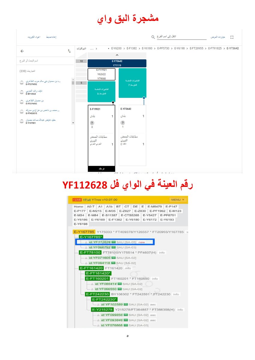 ALBAHITH51's tweet photo. مع ابناء عمومتهم من بني سالم تحت التحور E-FT20955 حفيد تحور قبيلة حرب E-Y6193 نشكر المفحوص ونشكر مشروع حرب@E_Y6172على استضافة العينة وتطويرها ونشكر منسق الدعم للمشروع الأخ حازم الاحمدي الحربي @Alahmadi6193 والشكر موصولا لمشرف المشروع الأخ بدر العازمي الحربي. شاهد النبذة المختصرة https://t.co/uHM9KnN5dE