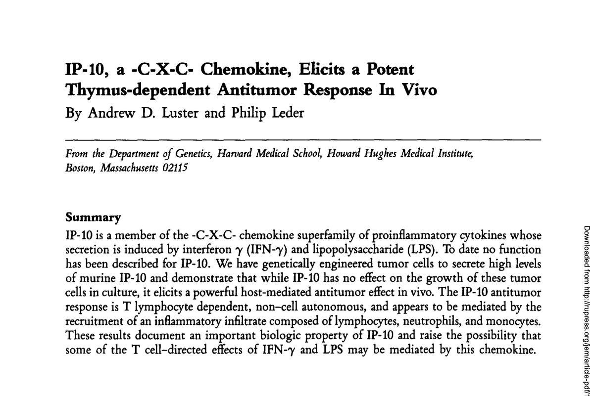 Cindy_NewYork's tweet photo. 📢#JEMlegacy time: Today, we revisit the first study showing "host-mediated antitumor effect" of CXCL10 published @JExpMed in 1993 https://t.co/Sd7KM7V6mN https://t.co/uxPyTYADPA