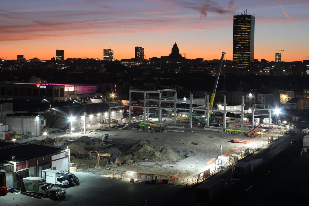 sau-msi.brussels tweet media