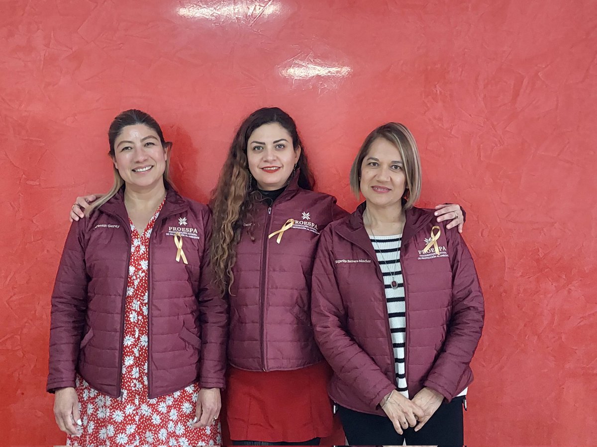 PROESPAHgo's tweet photo. En conmemoración del Día Internacional contra el #CáncerInfantil, en la #PROESPA buscamos crear conciencia sobre dicha enfermedad y expresar apoyo a las niñas, niños y adolescentes que han vivido este padecimiento, así como a sus familias.

#UniónYCrecimiento
#PrimeroElPueblo https://t.co/ot3kkPxxsa