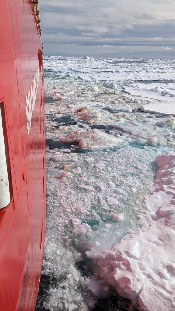 Amber Annett tweet media