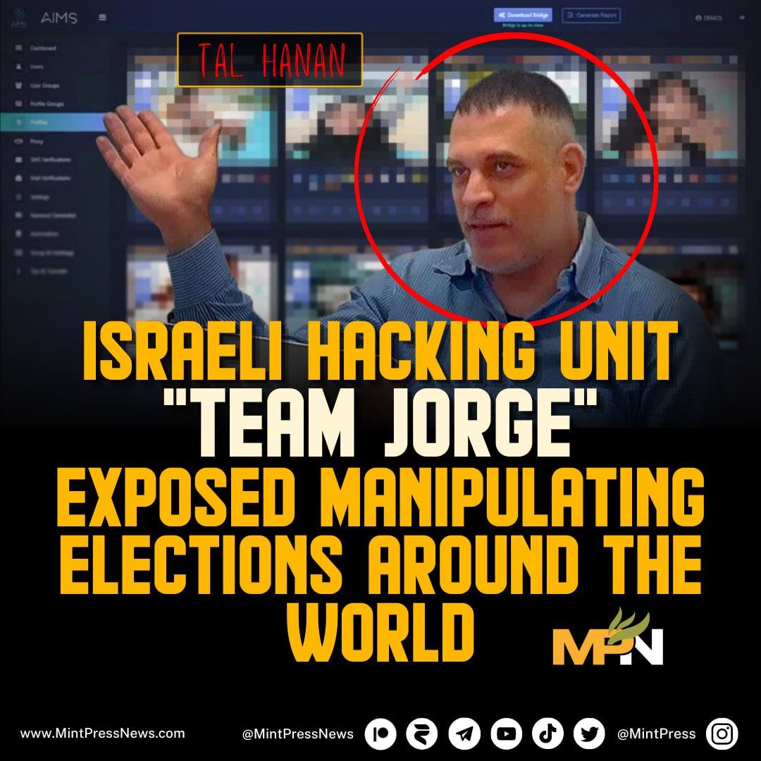 MintPress News tweet media