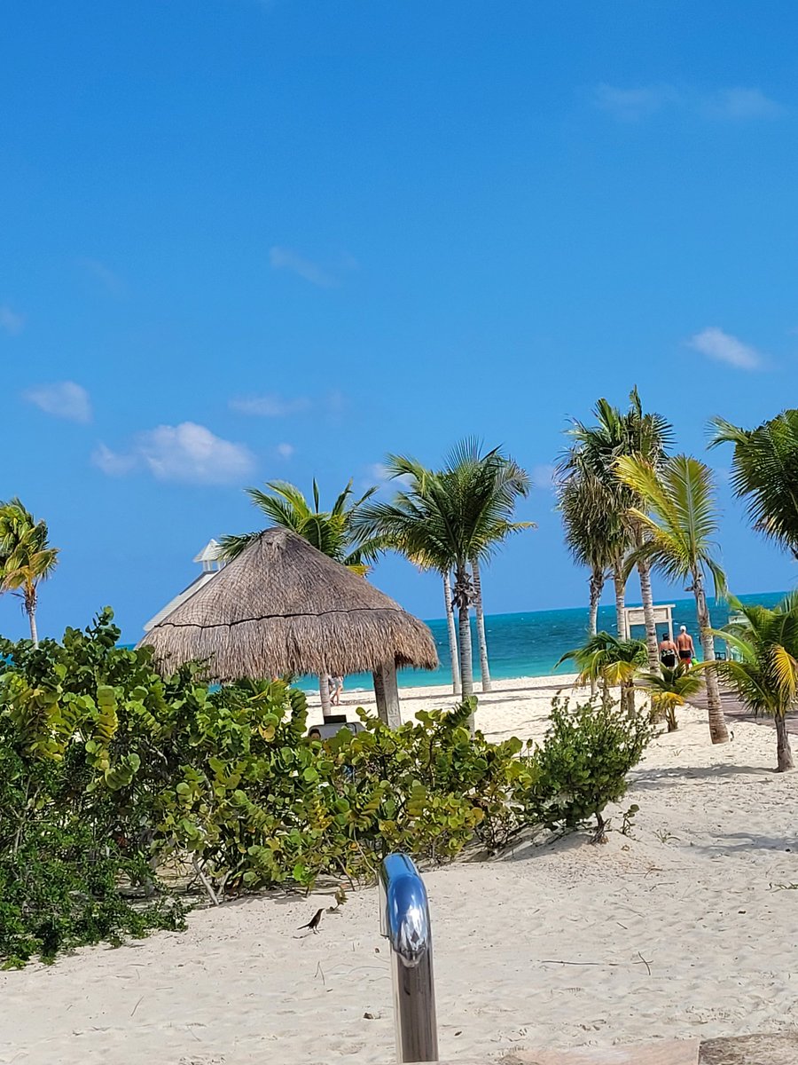 SweetLillyM's tweet image. Mexico was amazing last week. Take me back! 😍🌴