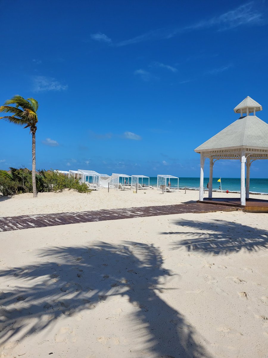 SweetLillyM's tweet image. Mexico was amazing last week. Take me back! 😍🌴