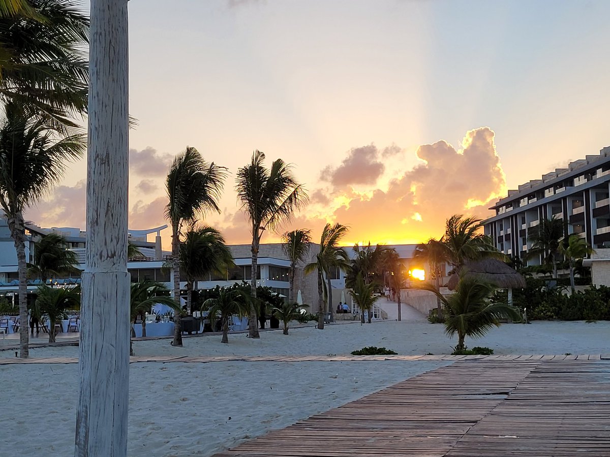 SweetLillyM's tweet image. Mexico was amazing last week. Take me back! 😍🌴