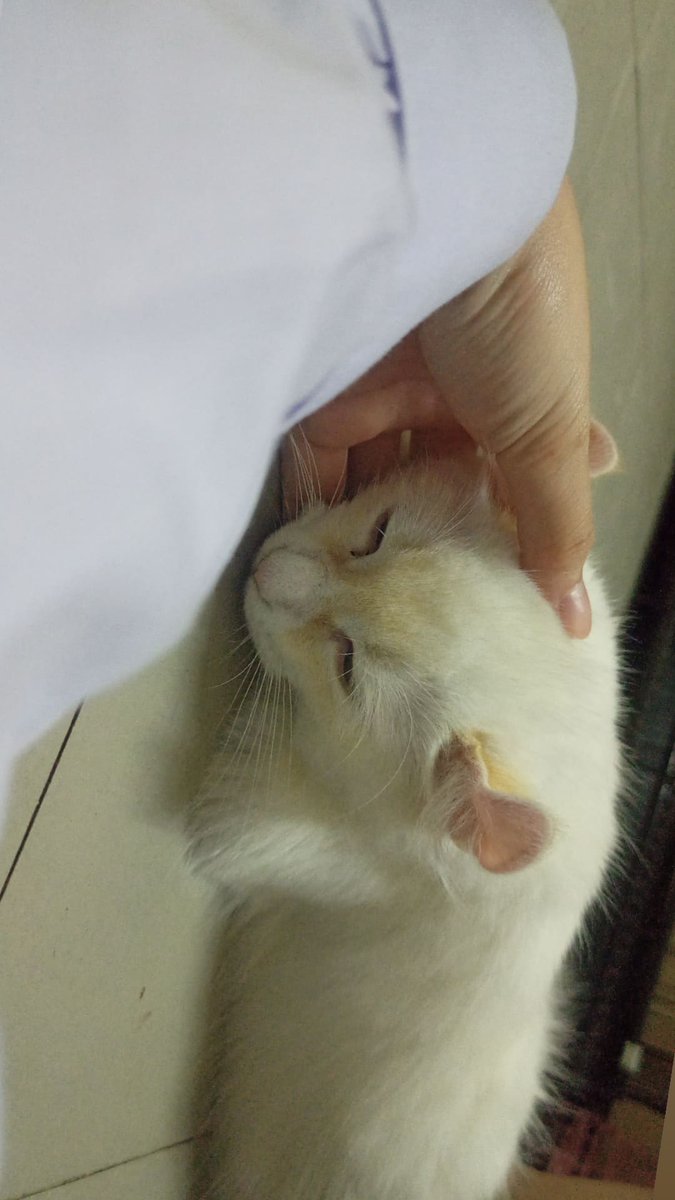 อ้อนได้น่าฟัดมาก🤏🏻