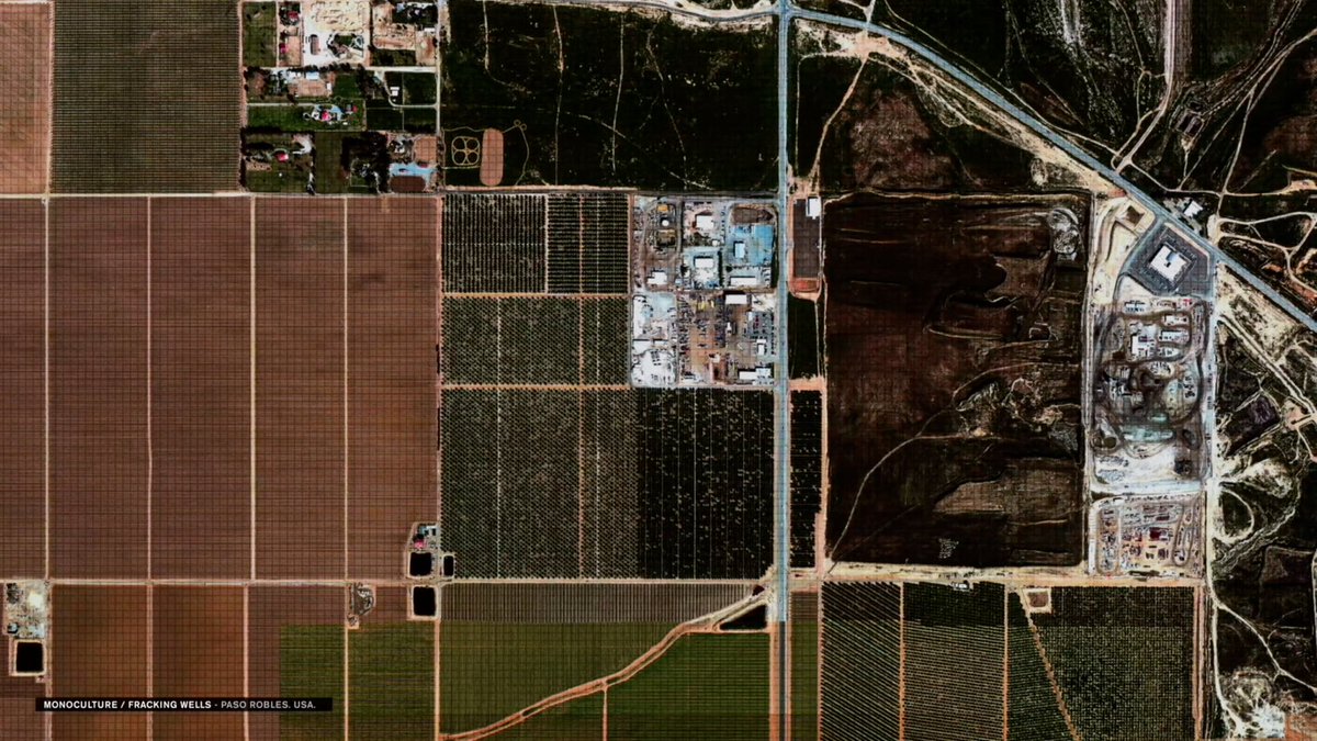 Canal180 tweet media