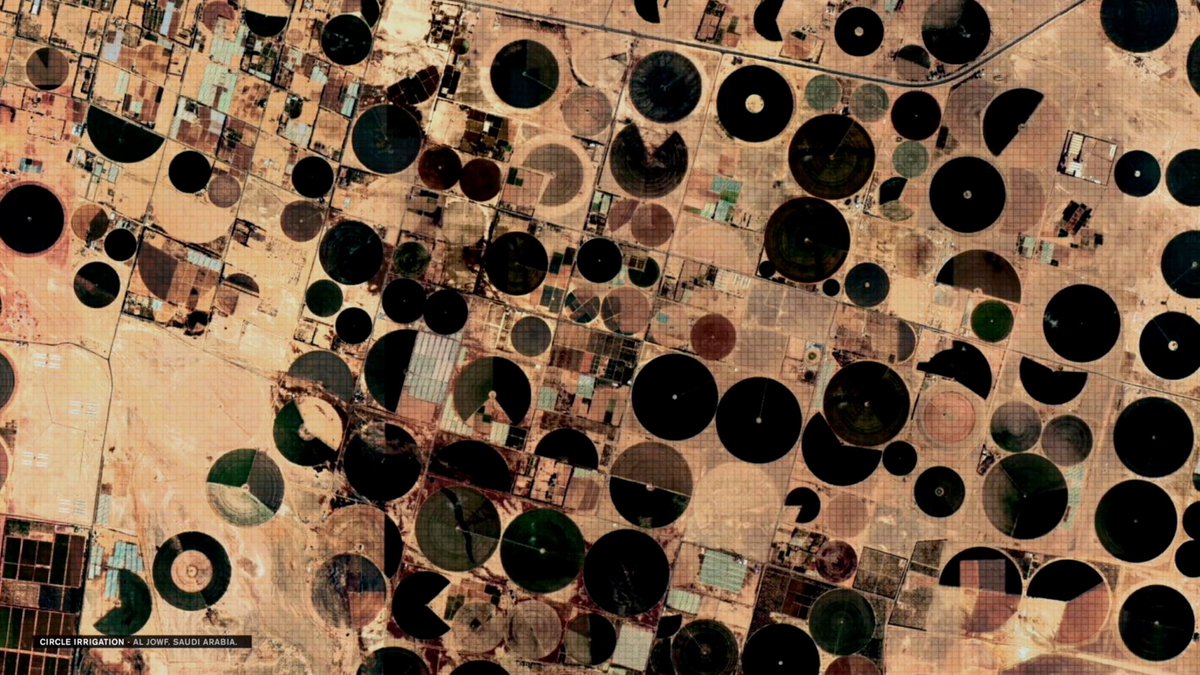 Canal180 tweet media