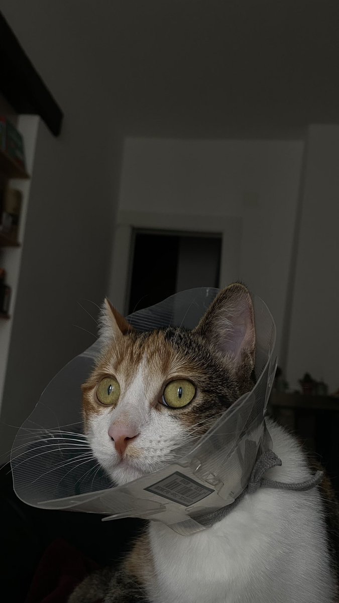 ellarrive's tweet image. Ça va être dur de partir bosser ce soir