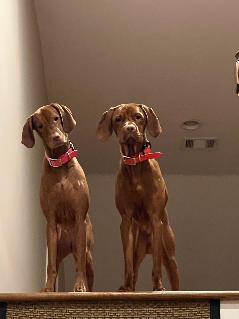 cgriz95's tweet photo. @DanaPerino https://t.co/1iXl4HIxMm