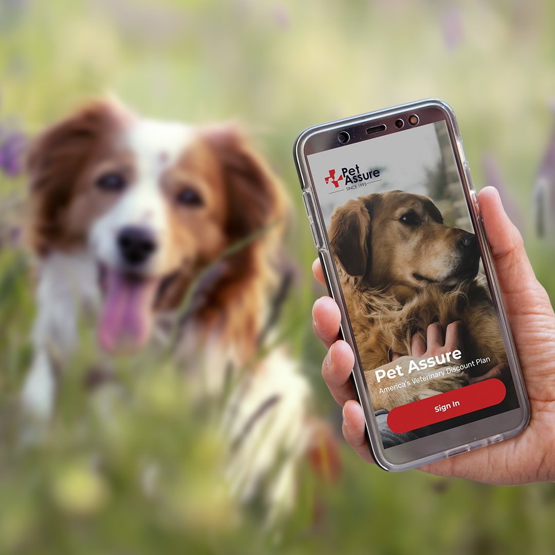 Pet Assure on Twitter "We believe that ensuring your pets receive