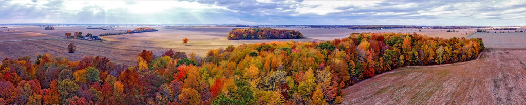 Martin_Crest's tweet photo. 𝙁𝙖𝙡𝙡 𝙘𝙤𝙡𝙤𝙪𝙧𝙨 𝙤𝙣 𝙩𝙝𝙚 𝙛𝙖𝙧𝙢 𝙚𝙖𝙨𝙩 𝙗𝙪𝙨𝙝𝙡𝙤𝙩 (160 panorama), October 2022 - for #LeavesOnThursday #RuralThursday, Daily #PhotoTheme #Photography #DJI #MavicMini #PanoPhotos #ClickToExpand
View #panorama animation at https://t.co/2XvCkNsjmf via #Dermandar https://t.co/w7ASFlwOrR