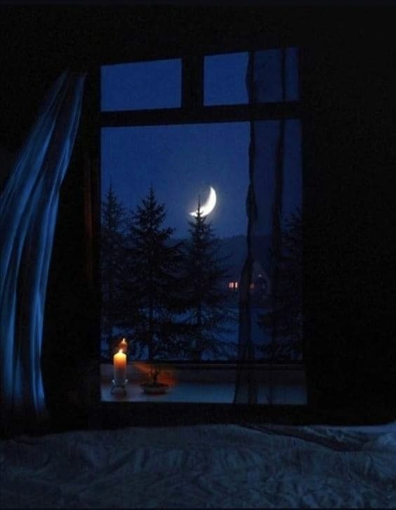 হারিয়ে যাবি কোন ভুবনে?
তুই যে বাঁধা আমার মনে-
তোর আকাশ ও তার সীমানা 
সব-ই আমার জানা আছে!

তোর চোখের‚ মনের ভাষা-
আমার ভালবাসায় ভাসে রোজ!
কিন্তু ধরা দিসনি আজও;
ও মনে তোর এত কী সংকোচ?

জানি তো‚ খুব ভালবাসিস-
তাই লুকিয়ে মনে আসিস!
আবার উড়ে যাস পালিয়ে
কেন রে? কোন আশাতে?

 শুভ রাতি