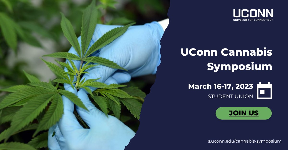 Register today for the UConn Cannabis Symposium, which brings together researchers from across the country and industry leaders in this growing field. ➡️s.uconn.edu/cannabis-sympo… @UConnResearch @UConnExtension @UConnTechComm @UConnCLAS @UConnNursing @UConnPharmacy @UConnLaw