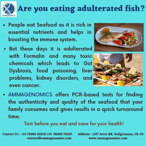 Are you eating adulterated fish?
Come test with AMMAGENOMICS to know the quality and authenticity of the food that you eat. Contact us at +917200636219/ +919840576219.
#seafood #nutrients #fish #adulteratedfish #cancer #gutdysbiosis #foodpoisoning #liverproblems #kidneydisorders