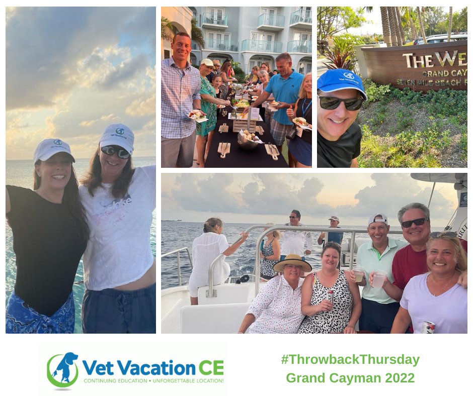 Beautiful sights, awesome participants make the perfect combination! #Throwback to our Grand Cayman Vet Vacation!

Sign up for the 2023 Grand Cayman Vet Vacation through this link: vetvacationce.com/product/cayman…

#veterinary #vet #veterinarymedicine #rossvet