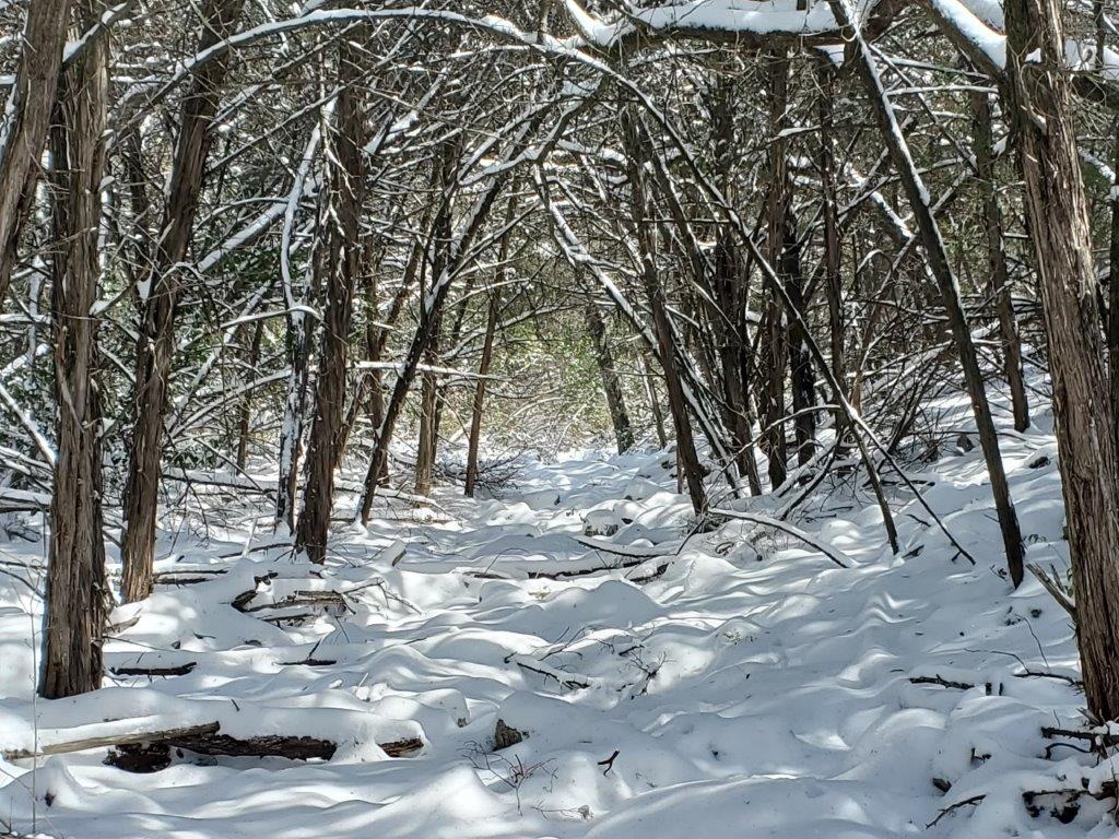 JimAyersATX's tweet image. #SWATX
#SycamoreCreek