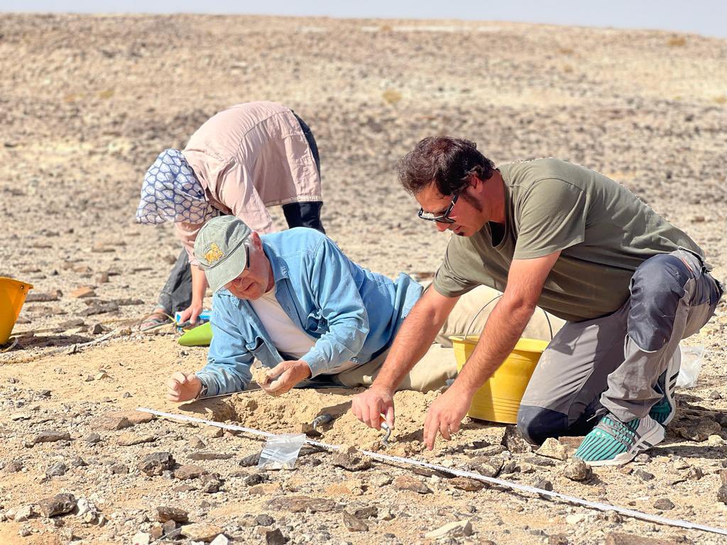 OSL tubes going in at a site with buried Nubian Levallois cores. Interesting artefacts from surface collections and excavations. Now we wait…