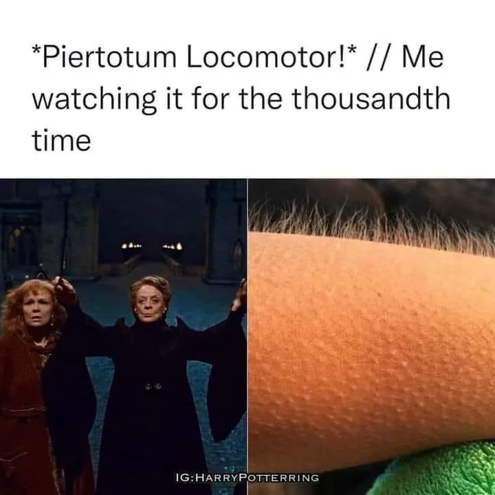 MuggleNet's tweet photo. This is just something that never gets old, it’s too powerful. 🤩 https://t.co/096XItxUDX