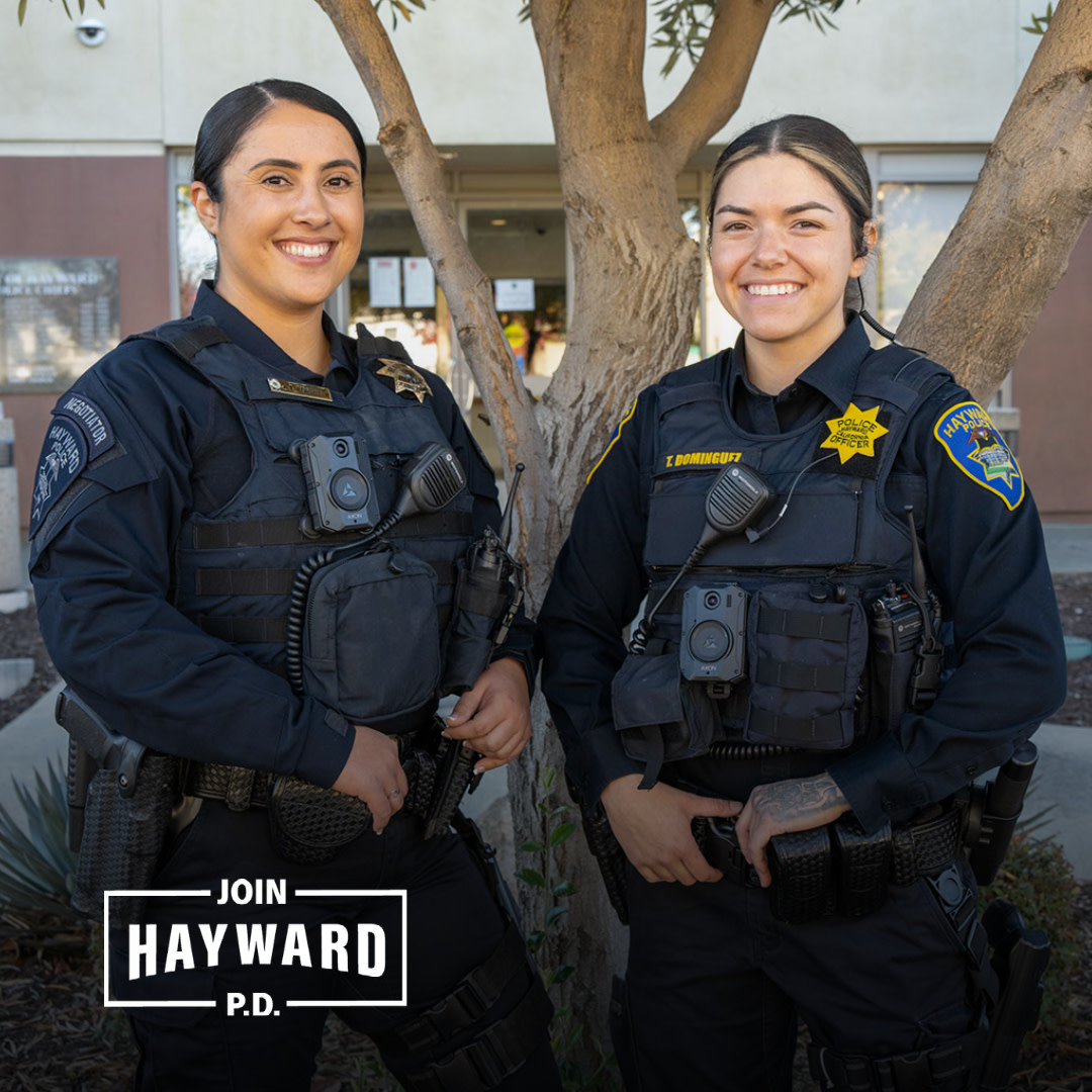The Hayward Police Department is built
on teamwork, camaraderie, and
community. Carve your career path with
over 20 specialized units such as SWAT,
K9, Detective, Vice, Gangs, and Homicide.
#JoinHaywardPD #HaywardPD
#HaywardCA #HaywardPolice
#HaywardPoliceJobs #PoliceJobs