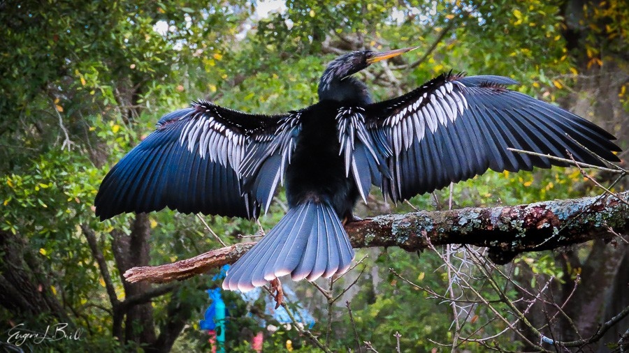 eugenebrill's tweet photo. Join our family, we'll welcome you with open arms 😍
📷 @thewannabenaturalist
FREE Magazine Subscription
https://t.co/0RYilieKGo
.
#wannabenaturalist #thinkoutside #eugenebrill https://t.co/tP5zgaCsjU