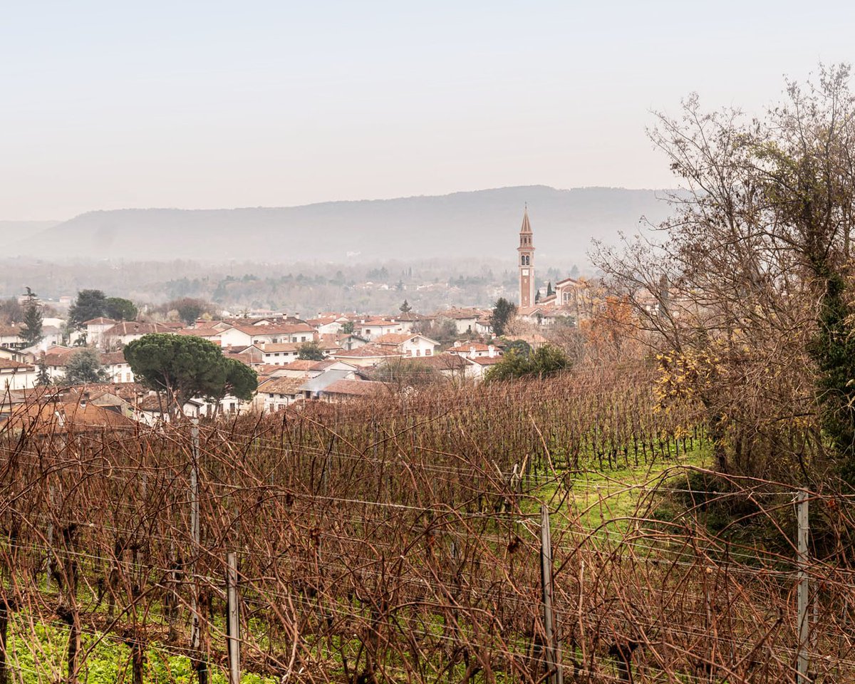 Attems_wines's tweet photo. This is where it all began and where we always go back to.
#Attems #AttemsWines #Friuli #wine https://t.co/xPn6vTKMhk