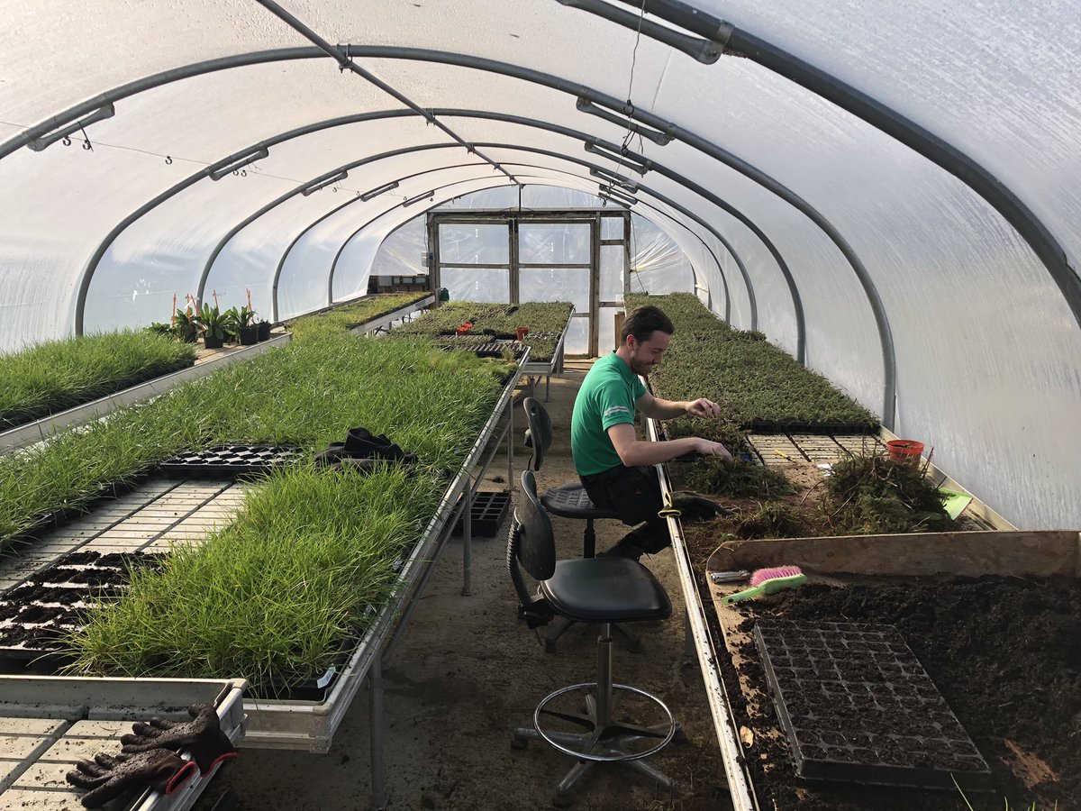 Exceptional February weather gets us out in the fields planting some of our small multiplications. Here Charlie is planting some meadow sweet in our test area. #summer or #spring? #DLF #wildflowers