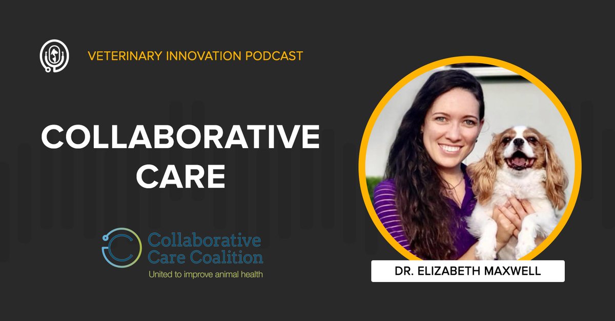 Working collaboratively can improve patient outcomes, increase access to care, and strengthen relationships across veterinary disciplines. Shawn &amp; Ivan speak with Dr. Elizabeth Maxwell of the Collaborative Care Coalition about collaborative care: bit.ly/3lH7snn