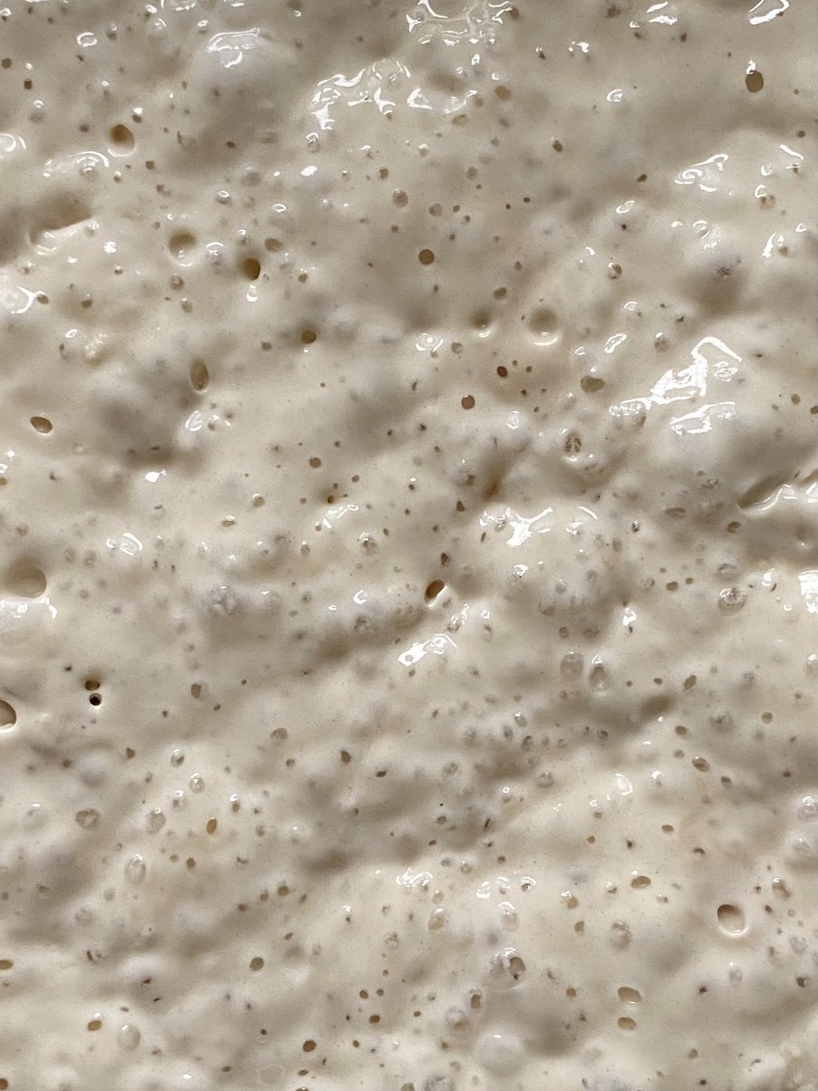 YS20162021's tweet photo. I certainly hope I can keep this bubbly yeasty creature alive. What’s a good name for a starter that fits my zoo theme at home? #starter #sourdough https://t.co/CFTSB4vCEF