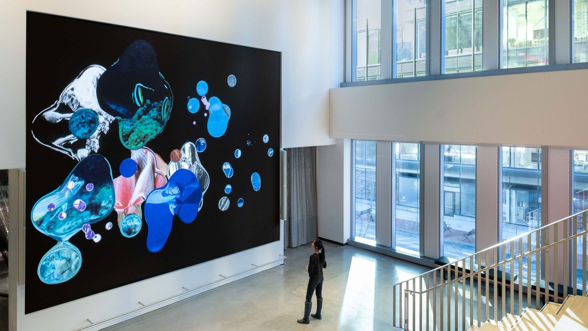 Richard The tweet media