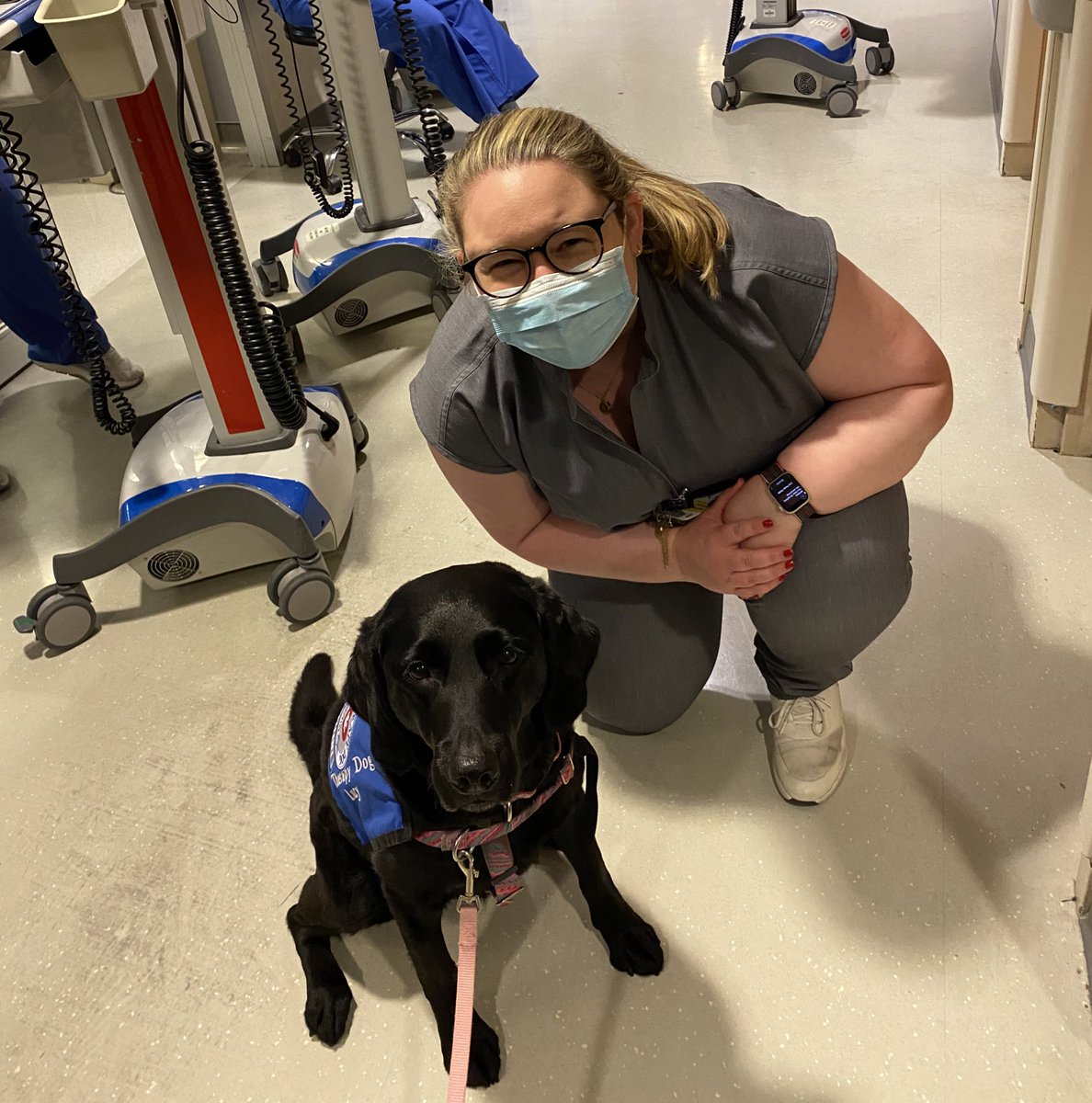 Kathryn Grimes (@rosegoldneuro) on Twitter photo New best friend in neuro ICU, DOGtor Lucy <a href="/umarylandneuro/">Maryland Neurology Residency</a> <a href="/msphippsmd/">Michael Phipps, MD, MHS</a> <a href="/UMMC/">University of Maryland Medical Center</a> New best friend in neuro ICU, DOGtor Lucy <a href="/umarylandneuro/">Maryland Neurology Residency</a> <a href="/msphippsmd/">Michael Phipps, MD, MHS</a> <a href="/UMMC/">University of Maryland Medical Center</a>