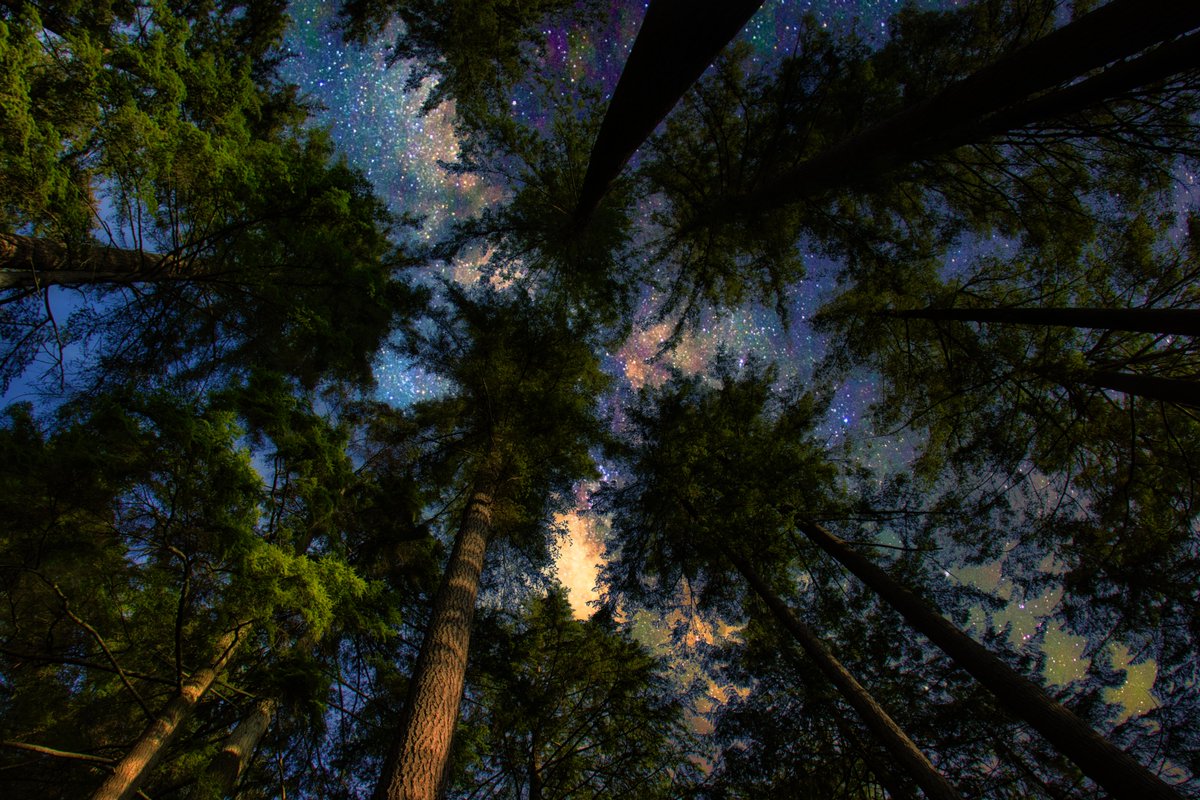 𝐞𝐫𝐚𝐠𝐨𝐭𝐡.𝐜𝐫𝐲𝐩𝐭𝐨 tweet media