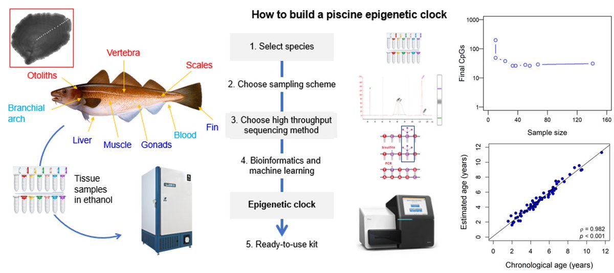 Group of Biology of Reproduction tweet media