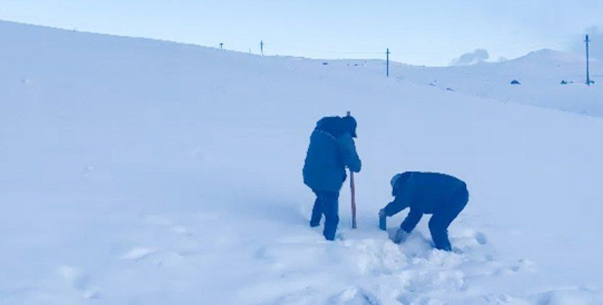 ikisahilnews's tweet photo. ☃️ #Naxçıvan Muxtar Respublikasının #Şahbuz rayonunda, #Batabat gölü ətrafında #qar örtüyünün hündürlüyü 30-50 sm arasında dəyişir. Ərazidə havanın temperaturu -13 dərəcədir. https://t.co/wORcF1VhQG