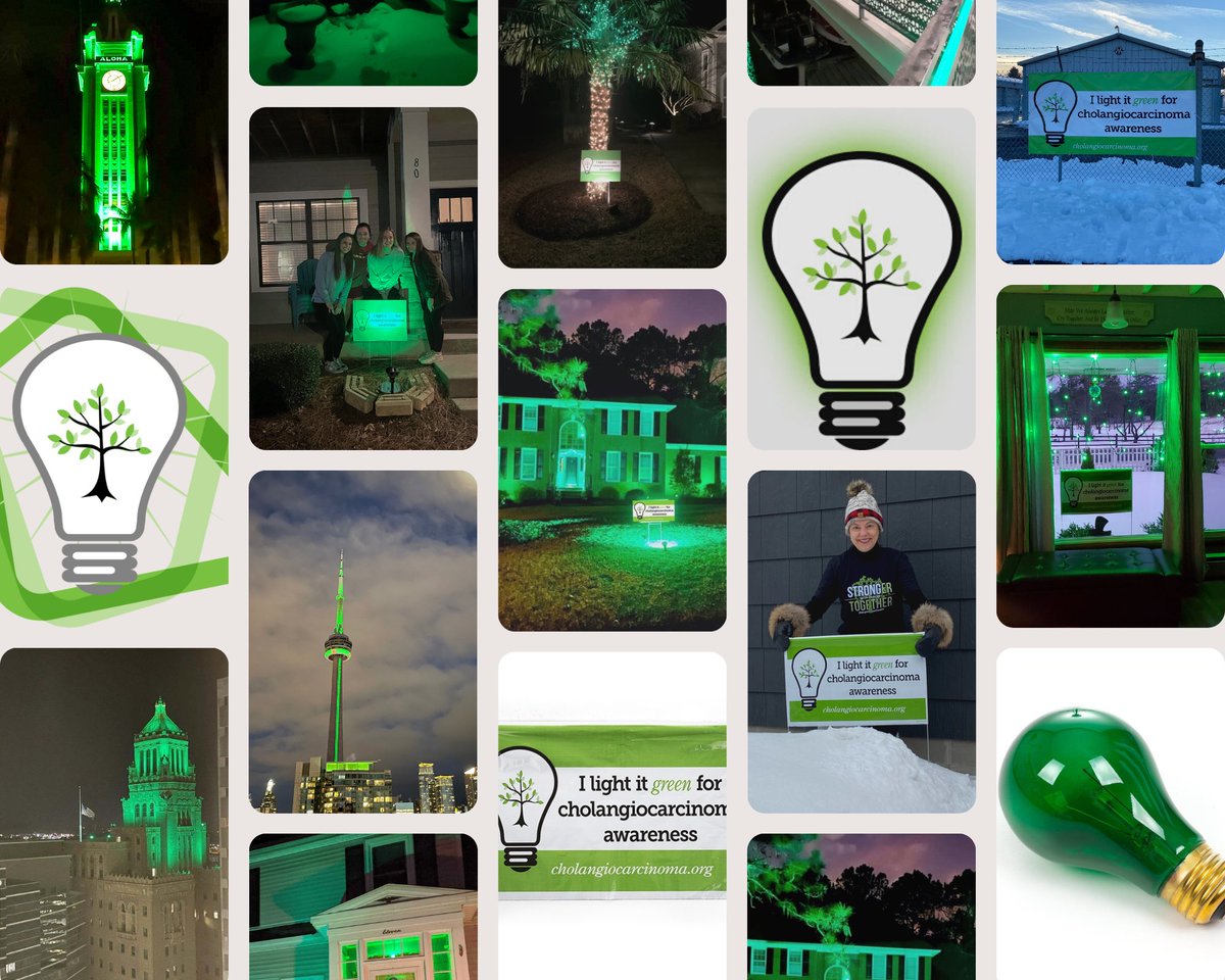 curecc's tweet photo. Today is #WorldCCADay! You will see green lights around the globe in support of #GREENforCCA. 💡💚

Please sign the #PledgeforCCA at https://t.co/q9vKffmy7l. https://t.co/2eFsgjkiZ2