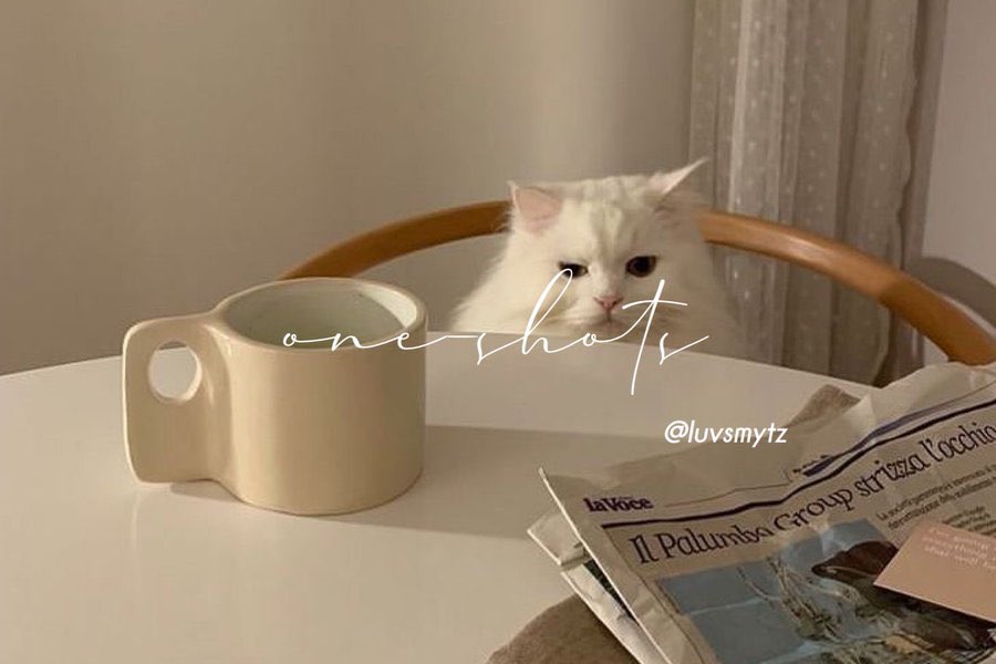 iky ✧˖° (@luvsmytz) on Twitter photo 