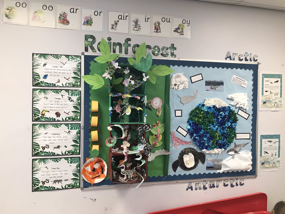 Dinnington_Rec's tweet photo. Reception @DinningtonFirst have loved learning about rainforests this half term. They particularly love sloths! https://t.co/6yoK0B33xa