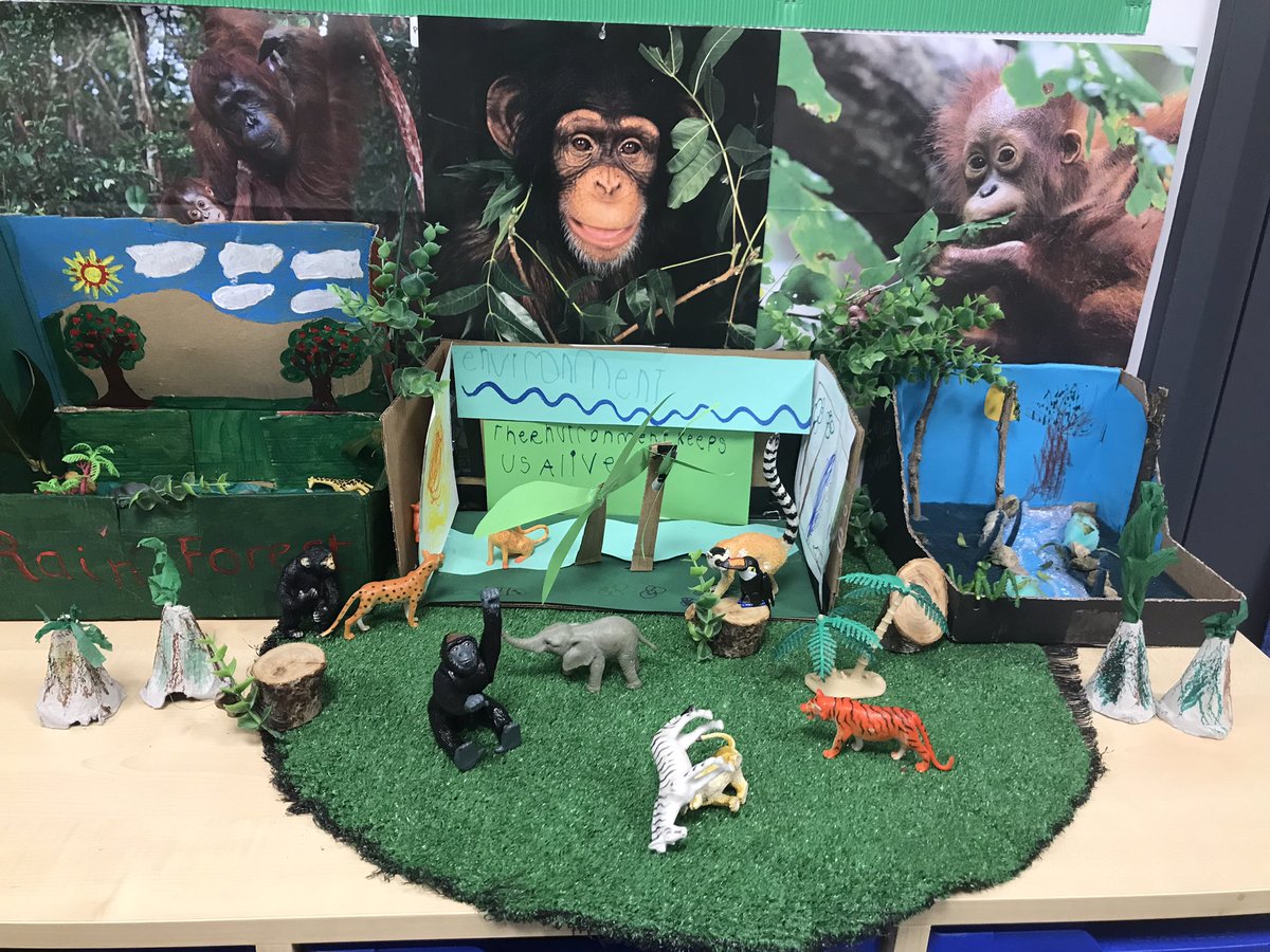 Dinnington_Rec's tweet photo. Reception @DinningtonFirst have loved learning about rainforests this half term. They particularly love sloths! https://t.co/6yoK0B33xa