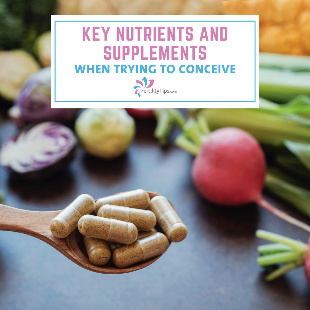 FertilityTips.com tweet media