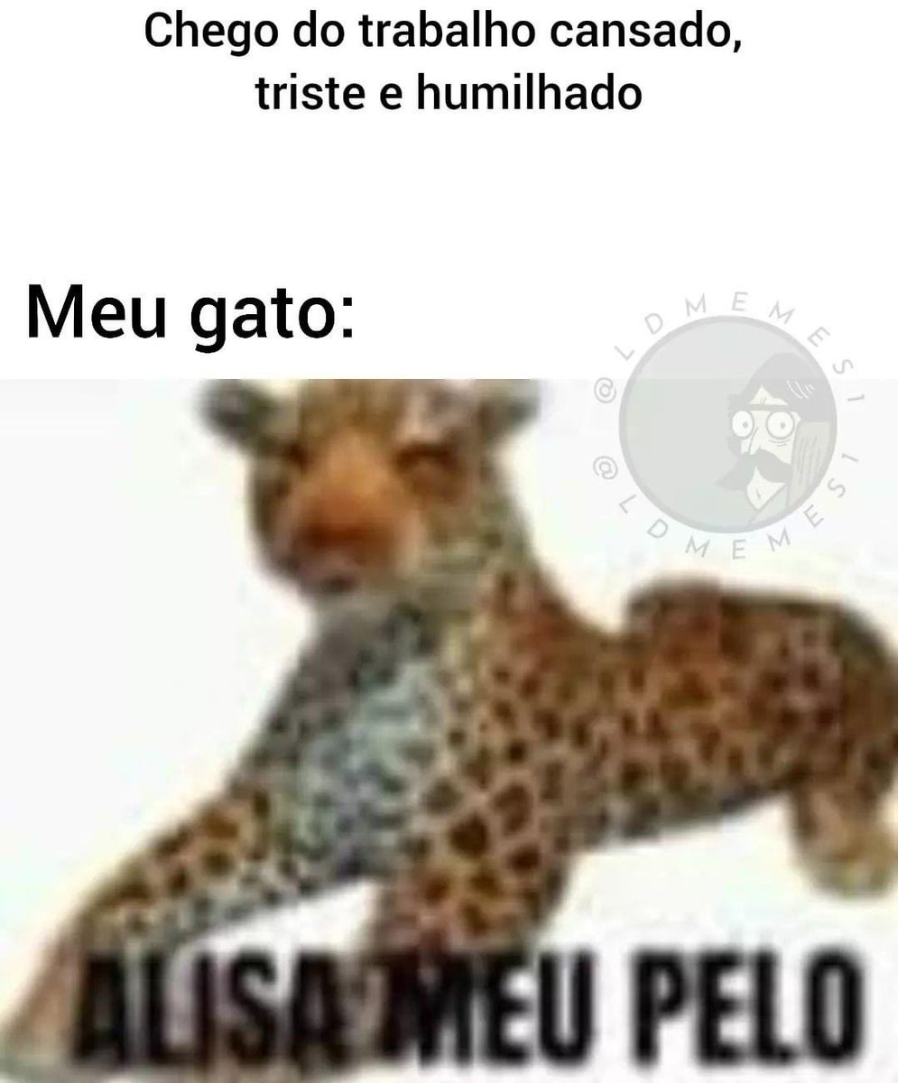 Shitpost só que de verdade (@shitpostverdade) on Twitter photo 