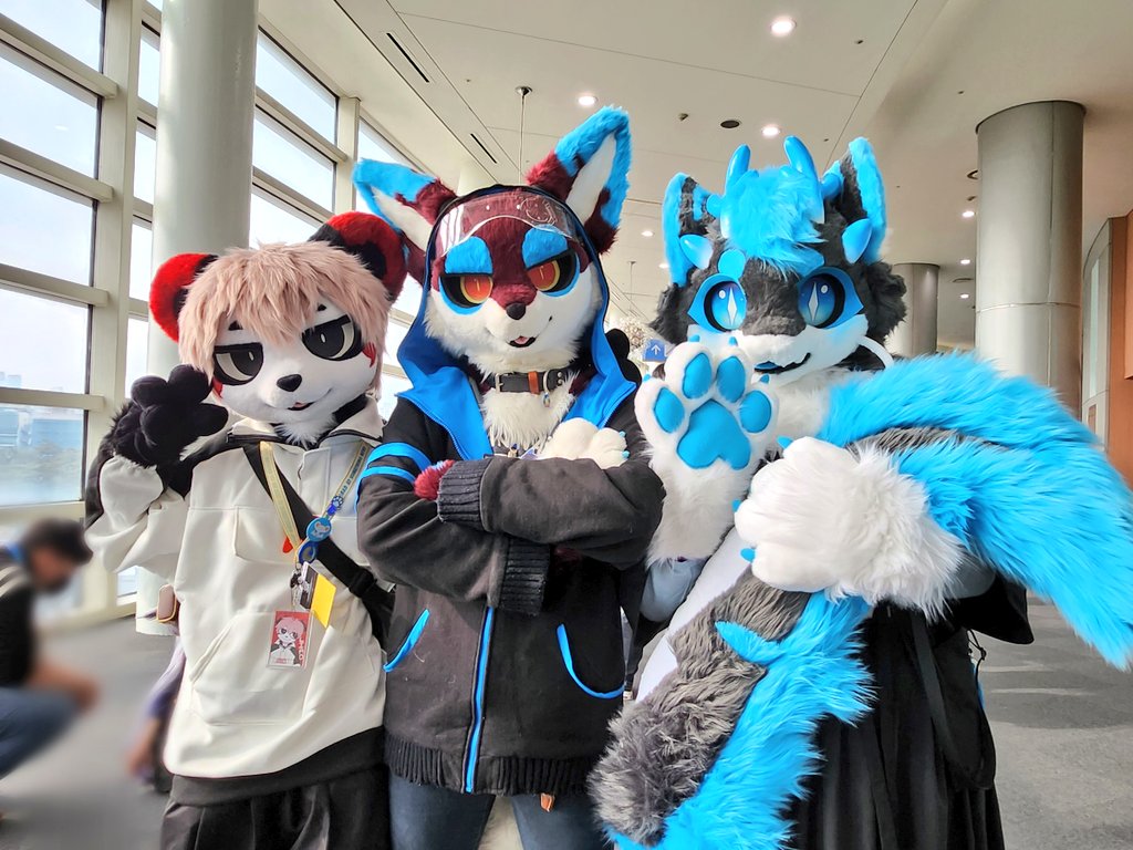 CuruMirr's tweet image. #FurryJoA2023 
まだまだ写真は続くぞ！！

@leeroan2000 
@alphix4 
@MIKAxBELL (?
@y0hen
@PERDION_PERDO 
@ChiliChili_0 
@yaco_fur