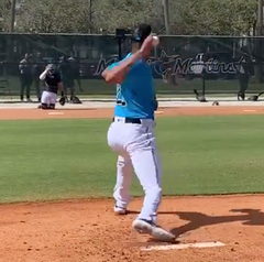 thepainguy's tweet image. Yes, Sandy Alcantara was INSANELY great last year.
But how long will he be able to SUSTAIN that success?
Given this.
clients.chrisoleary.com/pitching/the-e…
The concern is that, once Alcantara gets hurt, he'll likely struggle to get back to full health.