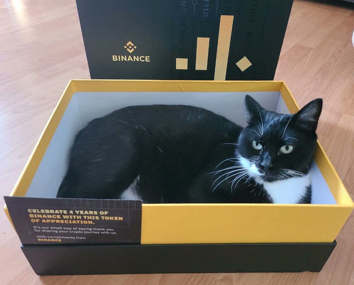 Ali19290620's tweet photo. @coingecko CATSCOIN V1 ORGINAL DEVS IS BACK!!
FROM 70K MC TO 75M MC 
BUY NOW AND HOLD 🔥🔥🔥
CA: 0xa5331BB3a3f1e1cB98ba8160176569AC0a80e61D
#BSC #cts #bnb #Cats https://t.co/aNLldkkMbd