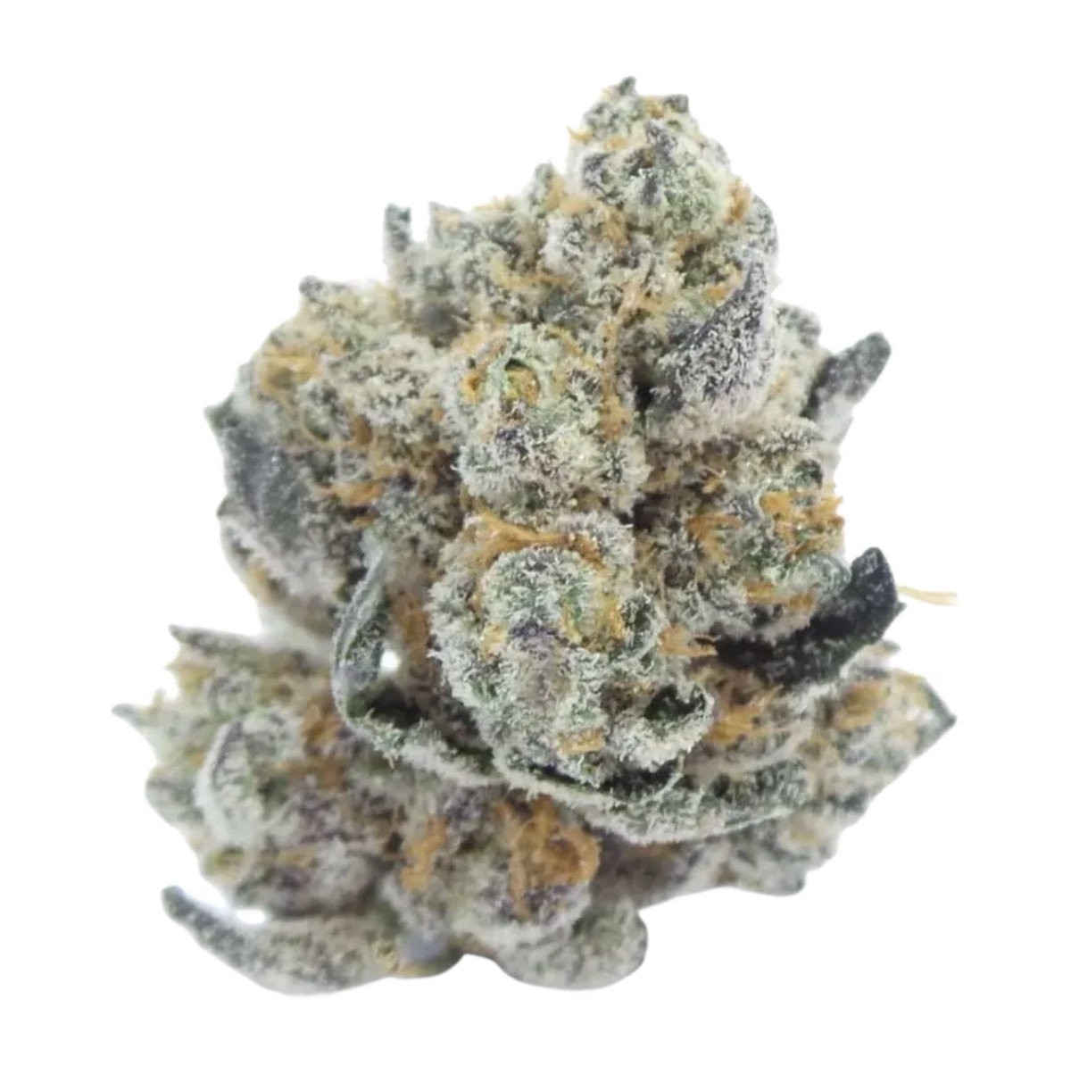 ECV_806's tweet photo. THCa flower refers to cannabis buds marketed as hemp. These buds are intended for smoking or vaping. They contain high concentrations of tetrahydrocannabinolic acid (THCa) and low concentrations of D9. Find THCa at @electricloudvapors &amp; @SocialLBK in Lubbock https://t.co/os4JWlEVt1