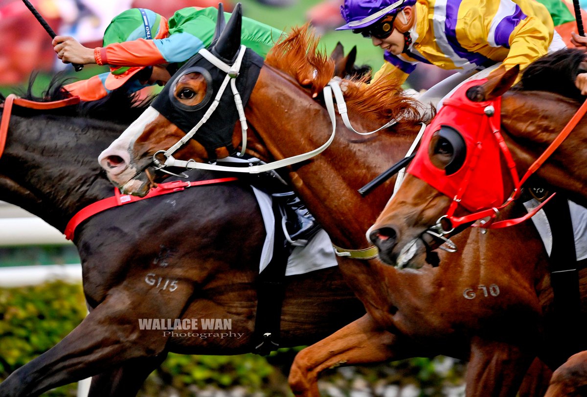 WOODFIRE BRO (Derek Leung)
#art #hkphotographer #hkracing #Happyvalleyracecourse #gallop #horseracingphoto #jockey #horseracingtrainer
#騎手 #写真家 #horsetrainer #hkracingphotos