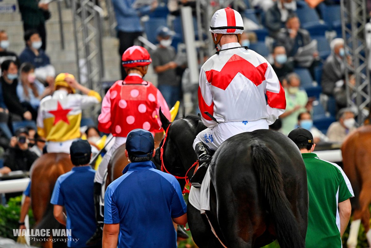 In the parade ring.
#art #hkphotographer #hkracing #Happyvalleyracecourse #gallop #horseracingphoto #jockey #horseracingtrainer
#騎手 #写真家 #horsetrainer #hkracingphoto