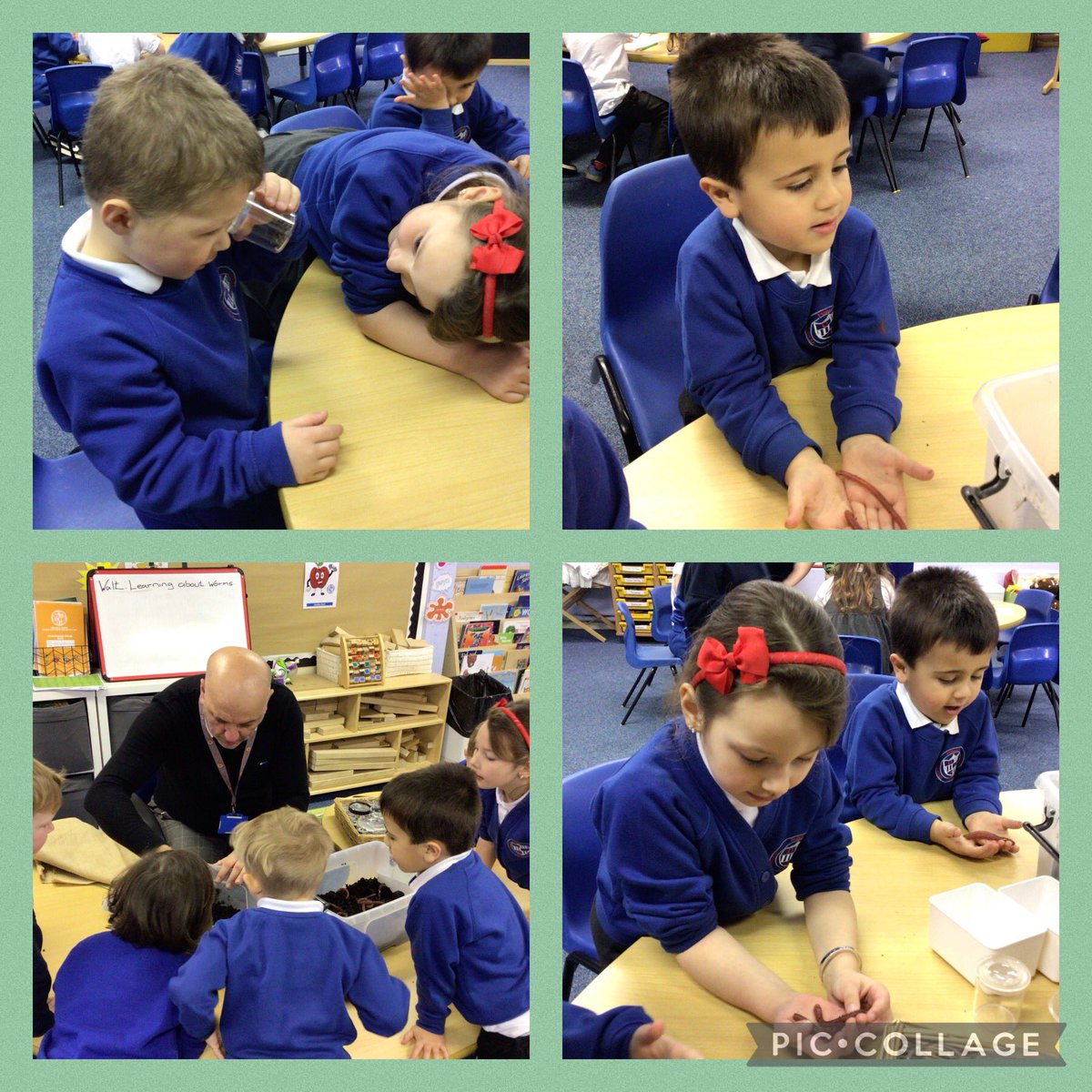 Finding out lots of worm facts today in dosbarth Roald Dahl. 🪱🍂We know about segments, habitats, and lots more. Thank you @dps_waters for bringing them into class today. We are #EthicalInformedCitizens @DeightonPrimary @DPSWitcombe 🤩⭐️