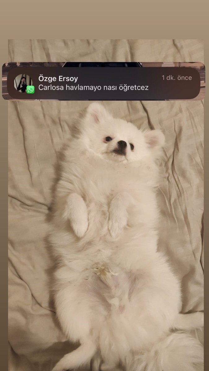 1 yeni mesajınız var;